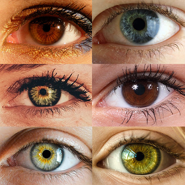 Eye color, Description, Heredity, & Variations